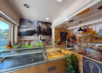 Panificio - Pastificio Alba - foto 8