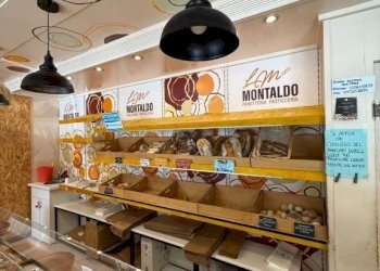 Panificio - Pastificio Alba - foto 11