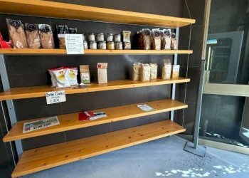 Panificio - Pastificio Alba - foto 13