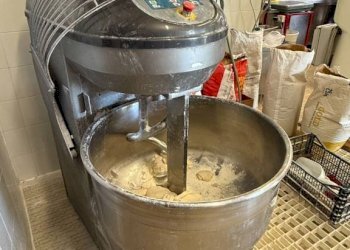 Panificio - Pastificio Alba - foto 15