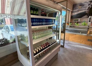 Panificio - Pastificio Alba - foto 34