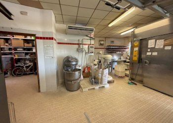 Panificio - Pastificio Alba - foto 37