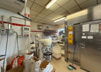 Panificio - Pastificio Alba - foto 40