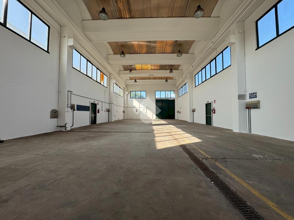 Capannone Strada Cardana, Romentino - foto 3