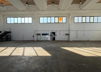 Capannone Strada Cardana, Romentino - foto 19