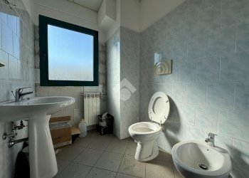 Capannone Strada Cardana, Romentino - foto 23