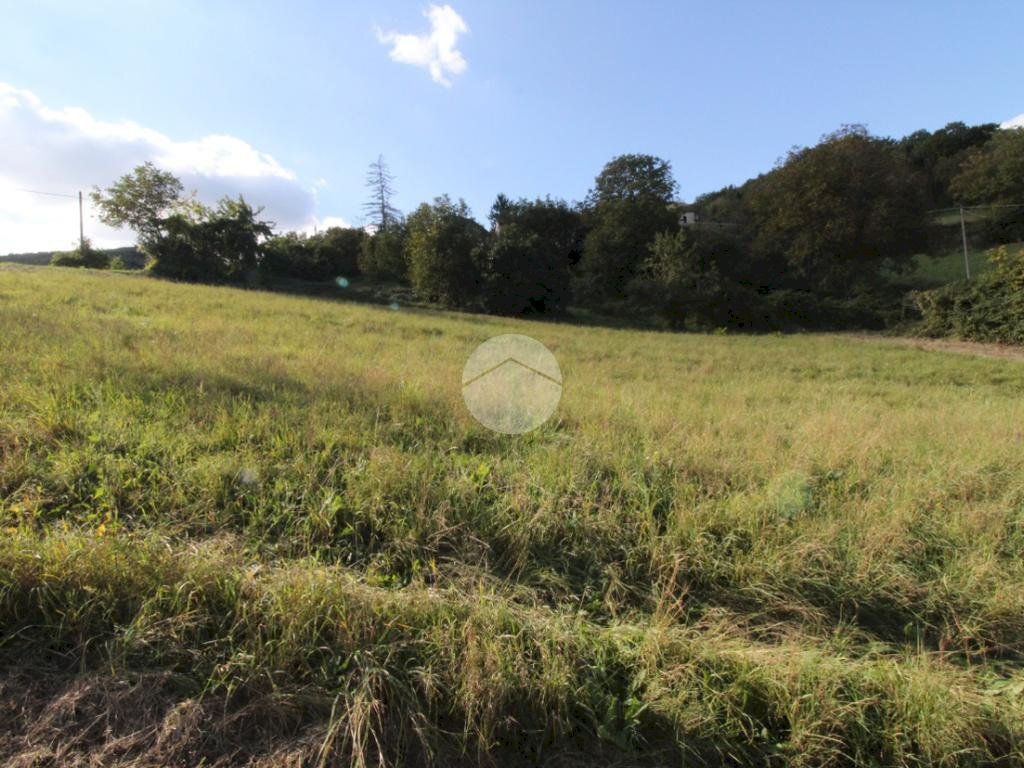 Terreno edificabile Str. Cattabiano, Langhirano - foto 1