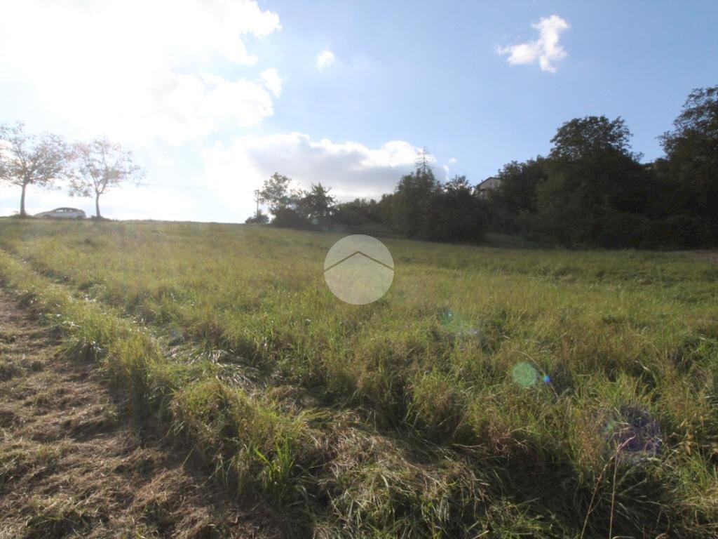 Terreno edificabile Str. Cattabiano, Langhirano - foto 2