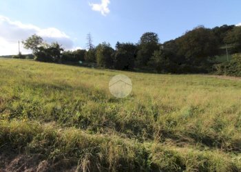 Building land Str. Cattabiano, Langhirano - photo 1