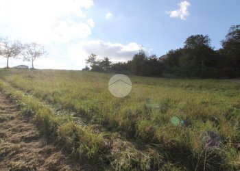 Building land Str. Cattabiano, Langhirano - photo 2