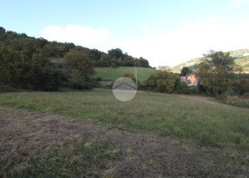 Building land Str. Cattabiano, Langhirano - photo 4