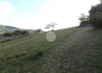 Building land Str. Cattabiano, Langhirano - photo 7