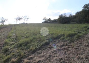 Building land Str. Cattabiano, Langhirano - photo 8