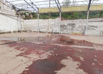 Capannone Via Sardorella, Genova (zona Bolzaneto) - foto 4