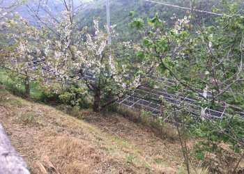 Foto 29 - Rustico Via Piemonte, Erli - foto 29