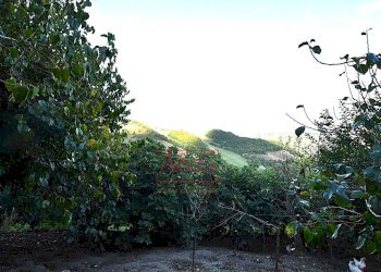 Foto 12 - Rustico Località Villa Rustici, Amandola - foto 12