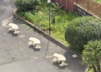 Giardino - Trilocale Viale Moncada
 
11 C, Catania - foto 51