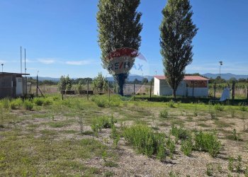 Giardino - Terreno agricolo Via I Piani
snc, Terranuova Bracciolini - foto 2