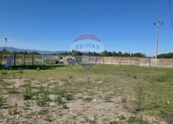 Giardino - Terreno agricolo Via I Piani
snc, Terranuova Bracciolini - foto 3