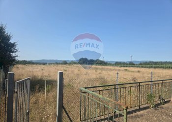 Vista delle montagne - Terreno agricolo Via I Piani
snc, Terranuova Bracciolini - foto 4
