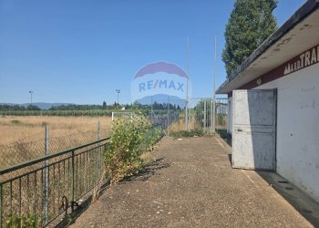 Terrazza - Terreno agricolo Via I Piani
snc, Terranuova Bracciolini - foto 5