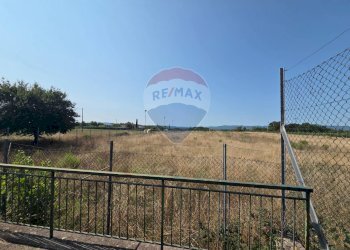 Balcone - Terreno agricolo Via I Piani
snc, Terranuova Bracciolini - foto 6