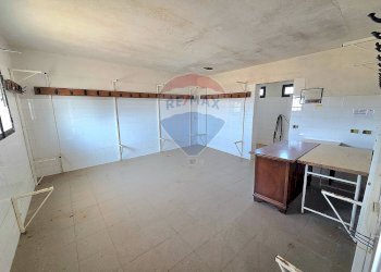 Cucina - Terreno agricolo Via I Piani
snc, Terranuova Bracciolini - foto 12