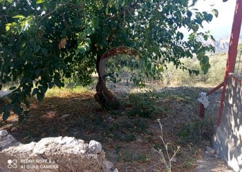 Giardino - Rustico contrada trupiano, Castelmola - foto 6