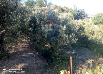 Giardino - Rustico contrada trupiano, Castelmola - foto 8