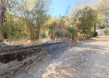 Giardino - Villa VIA PORTOSALVO
 
14, Caltagirone - foto 8