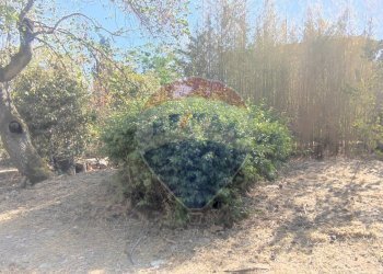 Giardino - Villa VIA PORTOSALVO
 
14, Caltagirone - foto 12