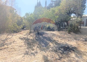 Giardino - Villa VIA PORTOSALVO
 
14, Caltagirone - foto 13