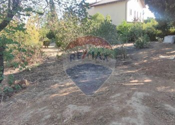 Giardino - Villa VIA PORTOSALVO
 
14, Caltagirone - foto 18