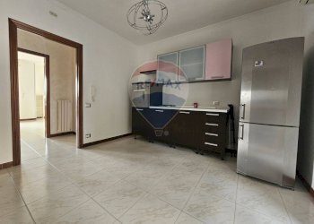 Cucina - Quadrilocale Viale Michelangelo
 
150, Lucera - foto 4