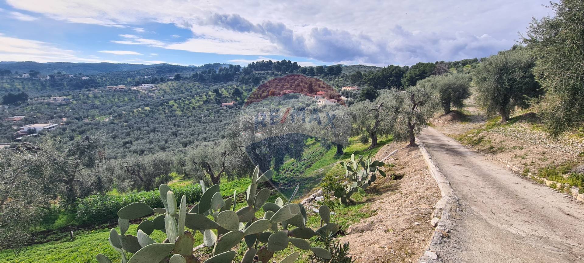 terreno - Agricultural land Località Grotta Spagnola, Vieste - photo 2