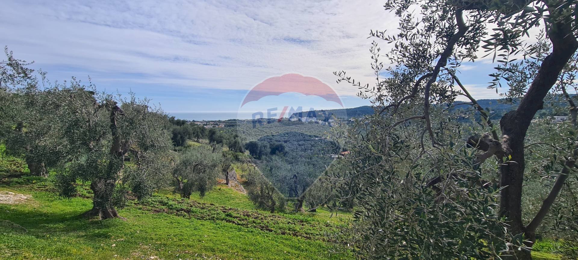 terreno - Agricultural land Località Grotta Spagnola, Vieste - photo 3