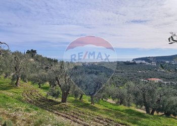 terreno - Terreno agricolo Località Grotta Spagnola, Vieste - foto 1