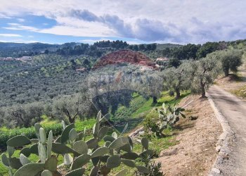 terreno - Terreno agricolo Località Grotta Spagnola, Vieste - foto 2