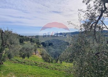 terreno - Terreno agricolo Località Grotta Spagnola, Vieste - foto 3