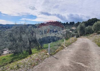 terreno - Terreno agricolo Località Grotta Spagnola, Vieste - foto 4