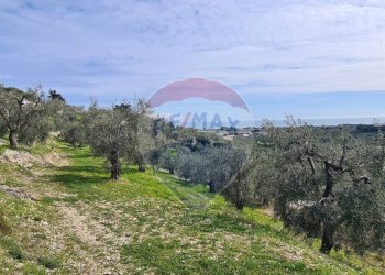 terreno - Terreno agricolo Località Grotta Spagnola, Vieste - foto 5