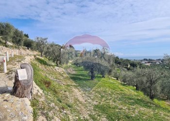 terreno - Terreno agricolo Località Grotta Spagnola, Vieste - foto 6