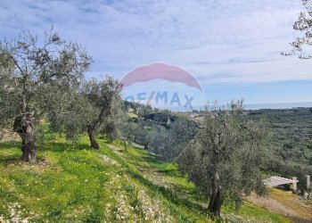 terreno - Terreno agricolo Località Grotta Spagnola, Vieste - foto 7