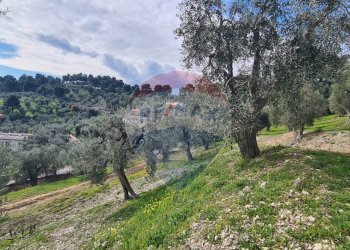 terreno - Terreno agricolo Località Grotta Spagnola, Vieste - foto 8