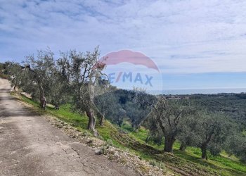 terreno - Terreno agricolo Località Grotta Spagnola, Vieste - foto 10