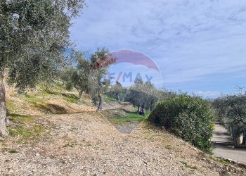 terreno - Terreno agricolo Località Grotta Spagnola, Vieste - foto 11