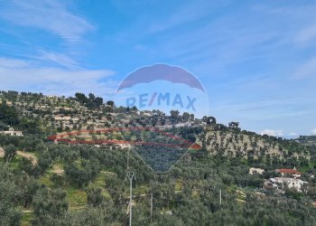 terreno - Terreno agricolo Località Grotta Spagnola, Vieste - foto 12