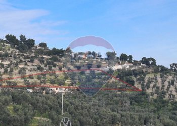 terreno - Terreno agricolo Località Grotta Spagnola, Vieste - foto 13