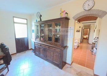 Foto 4 - Casa indipendente Pietrasanta - foto 4