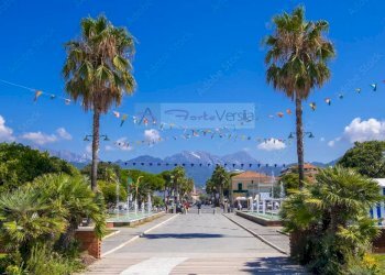 Foto 28 - Casa indipendente Pietrasanta - foto 27